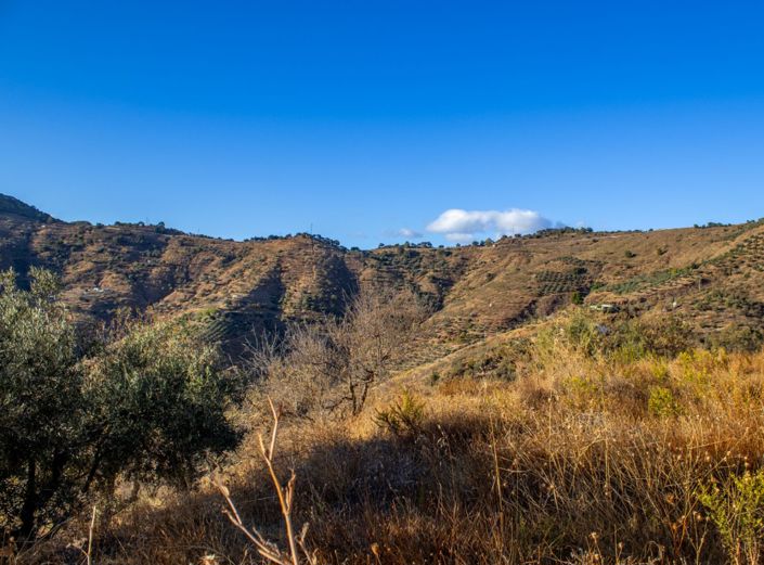 Image No.19-5 Bed Property for sale