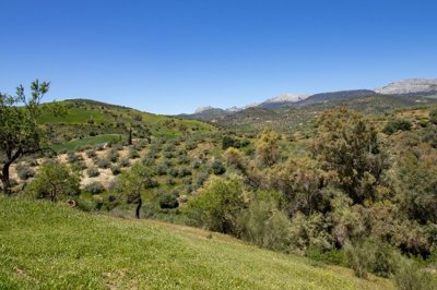 riogordo-180m2-building-plot-edge-of-village-mountain-views-7