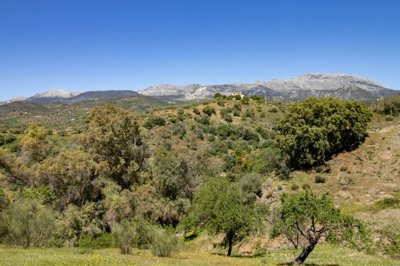 riogordo-180m2-building-plot-edge-of-village-mountain-views-8
