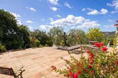 Comares-Countryhome-Holidayhome-Pool-Holiday31