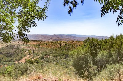 Almogia-Malaga-Garden-View-Holidayhome3
