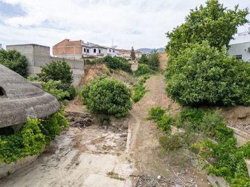 parcela-5
