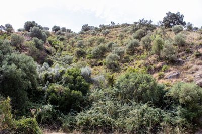building-plot-riogordo-70000m2-panoramic-views-axarquia3