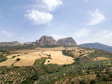 building-plot-riogordo-70000m2-panoramic-views-axarquia2