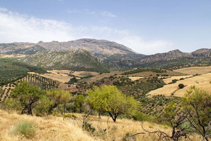 Image No.5-Terrain à vendre à Ríogordo