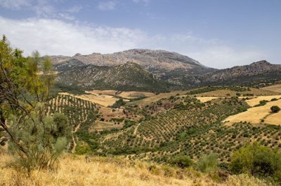 building-plot-riogordo-70000m2-panoramic-views-axarquia9