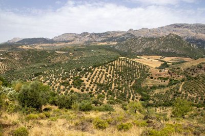 building-plot-riogordo-70000m2-panoramic-views-axarquia8