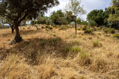 building-plot-riogordo-70000m2-panoramic-views-axarquia6
