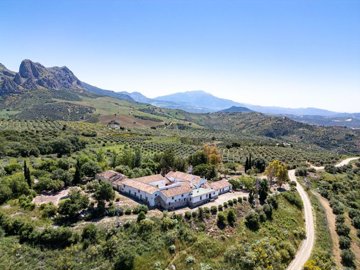 hospitality-investment-property-axarquia37