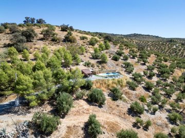 Jaen-Holidaycomplex-Pool-View-Olive-Andalucia-17