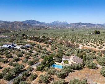 Jaen-Andalucia-Holidayhome-Farm-Pool-Rental-33.jpg