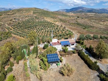 Drone-Riogordo-Pool-Holidayhomes-Villa-Palmtree.1.jpg