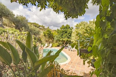 charming-cortijo-comares-axarquia-andalusia-31.jpg