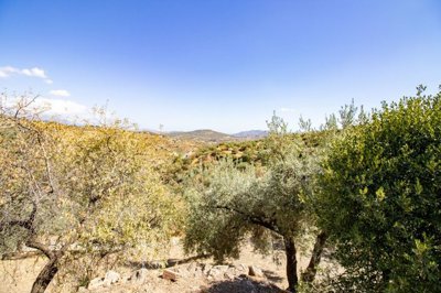 Riogordo-Malaga-Campo-Olive-Andalucia-5.jpg