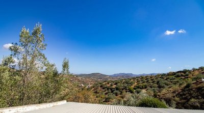Riogordo-Malaga-Campo-Olive-Andalucia-14.jpg