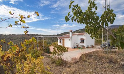 Riogordo-Malaga-Countryhome-Villa-17