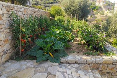 69b4506886a41b349363c12b_garden