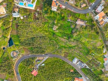 1 - Ribeira Brava, Terre