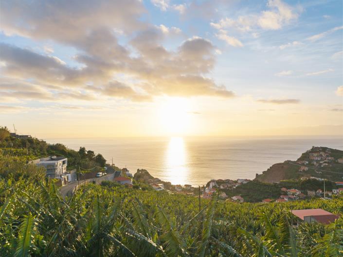 Image No.8-Terre à vendre à Ribeira Brava