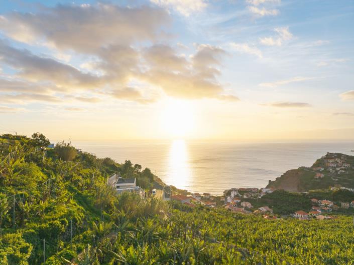 Image No.9-Terre à vendre à Ribeira Brava