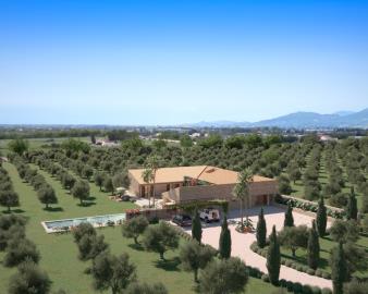 WhatsApp-Image-2025-09-10-at-14-33-09