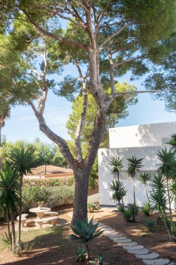 Image No.38-5 Bed Villa for sale