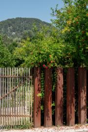 PM_Campanet_Finca-21