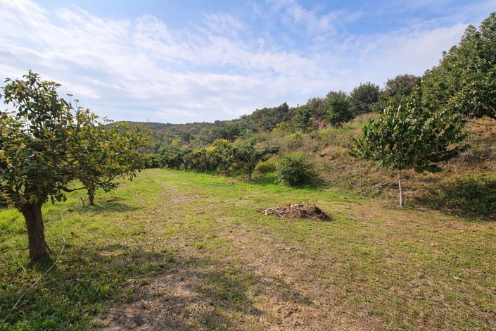 Image No.12-2 Bed Country House for sale