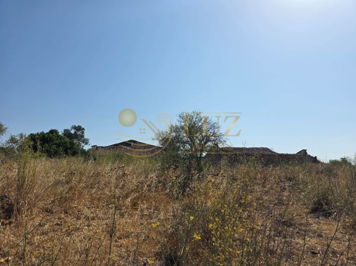 Image No.21-Property for sale