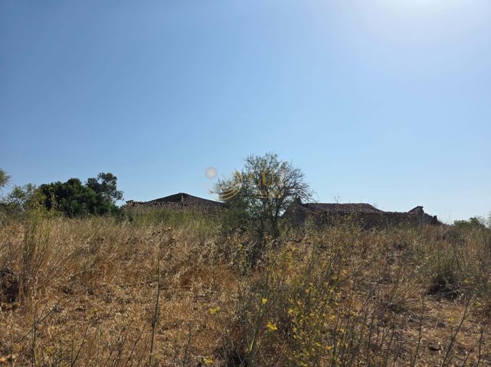 Image No.21-Property for sale