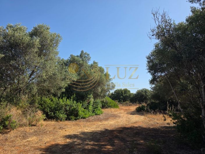 Image No.24-Property for sale
