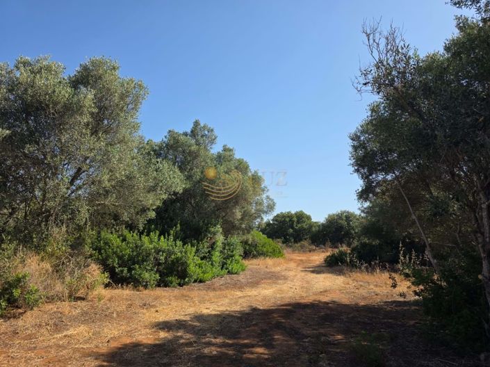 Image No.24-Property for sale