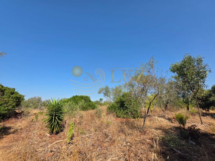 Image No.25-Property for sale