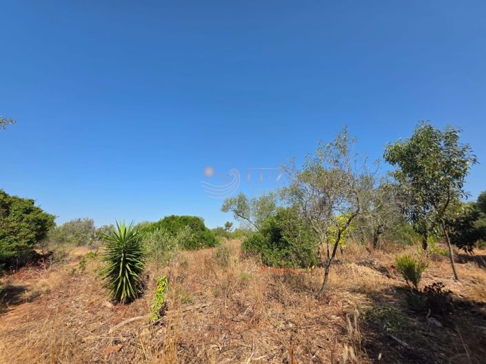 Image No.25-Property for sale