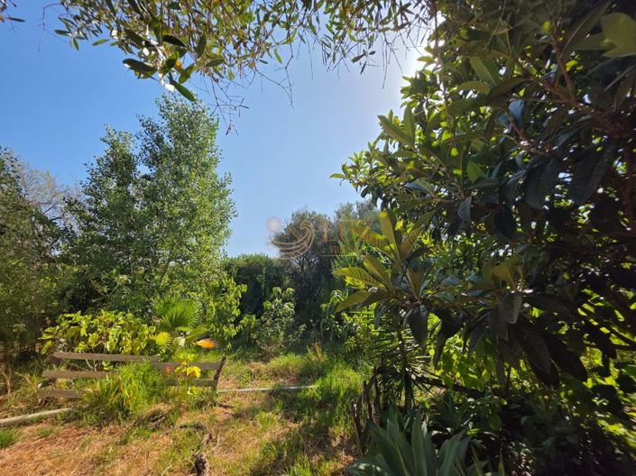 Image No.26-Property for sale