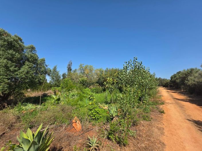 Image No.27-Property for sale