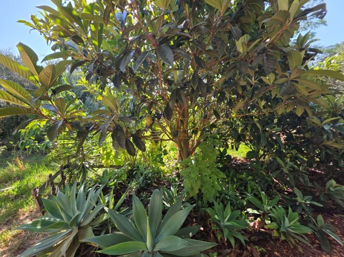 Image No.28-Property for sale