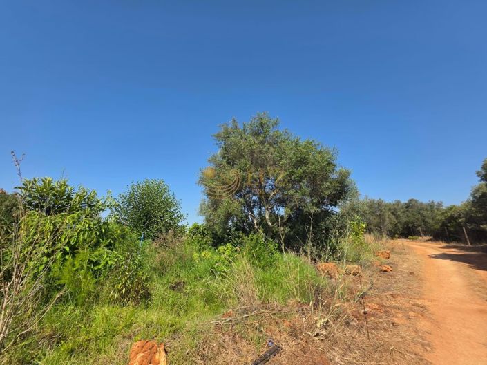 Image No.29-Property for sale