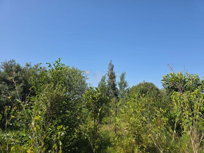 Image No.30-Property for sale