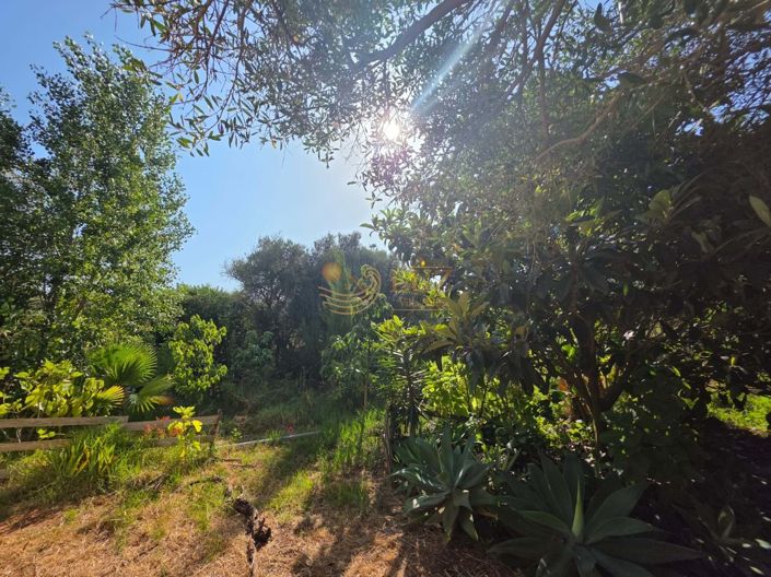 Image No.7-Property for sale