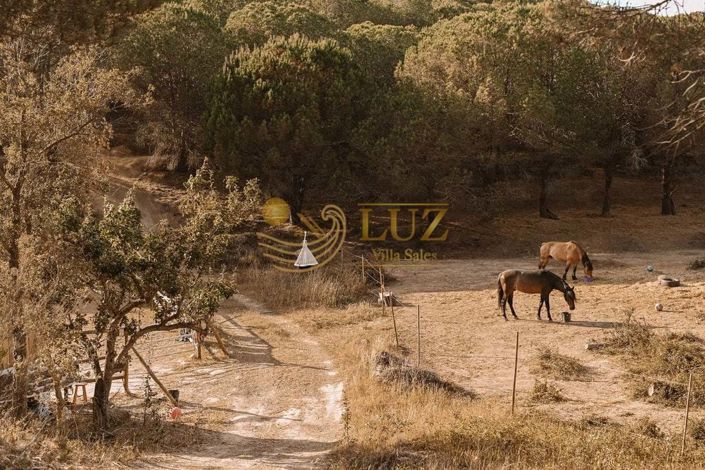 Image No.22-3 Bed Farmhouse for sale