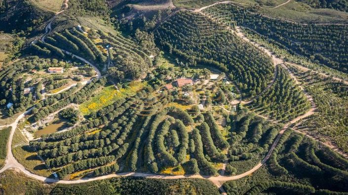 Image No.37-3 Bed Farmhouse for sale