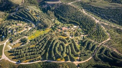 4958-789890-a6b56ac677102989ead21edcaf149190a