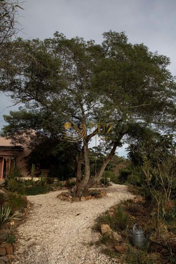 Image No.5-3 Bed Farmhouse for sale