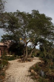 4958-789890-a6b56ac677102989ead21edcaf149190a