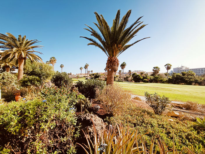 Image No.12-2 Bed Property for sale