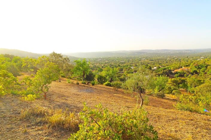 Image No.3-3 Bed House/Villa for sale