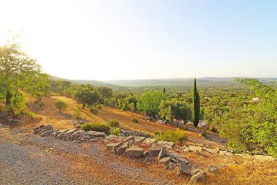 58shk0v6g0ndaopdnstp2w