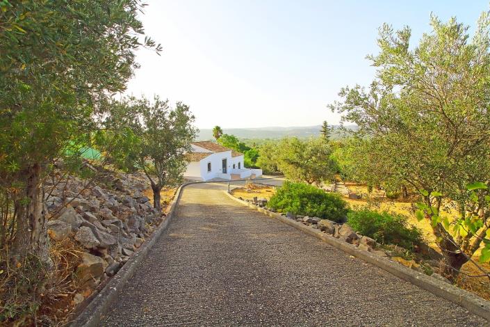 Image No.31-3 Bed House/Villa for sale