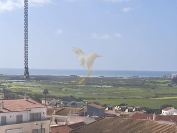 5596-838792-a8200f2d1463d037fc82d25a09d22efef